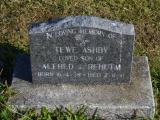 image of grave number 733514